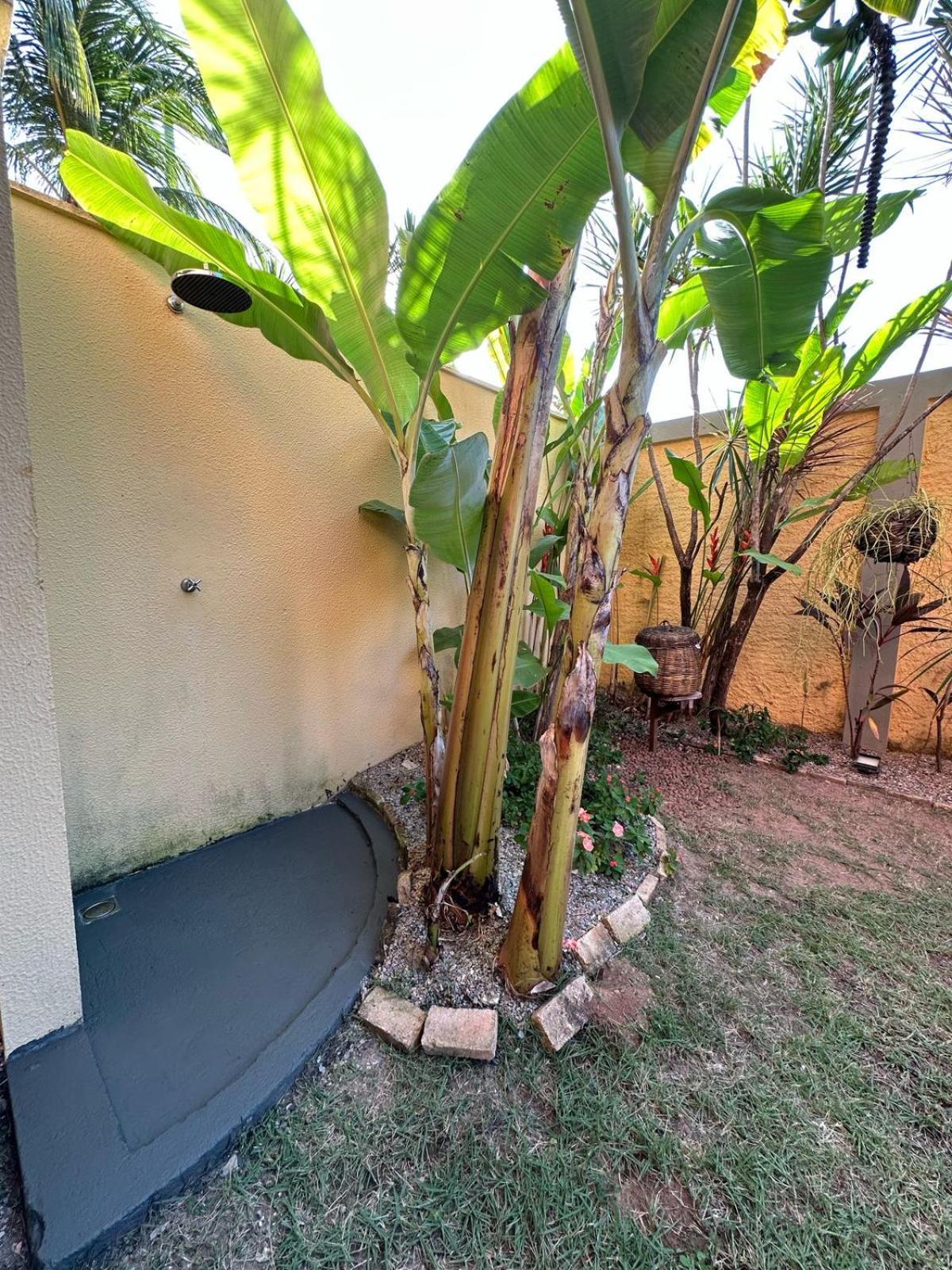 Apartamento A-11 Pipa Beleza Resort Praia de Pipa エクステリア 写真
